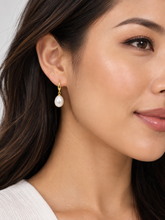 Load image into Gallery viewer, 9ct Yellow Gold Freshwater Pearl Earrings. J581