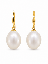 Load image into Gallery viewer, 9ct Yellow Gold Freshwater Pearl Earrings. J581