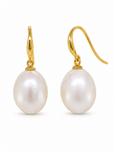 Load image into Gallery viewer, 9ct Yellow Gold Freshwater Pearl Earrings. J581
