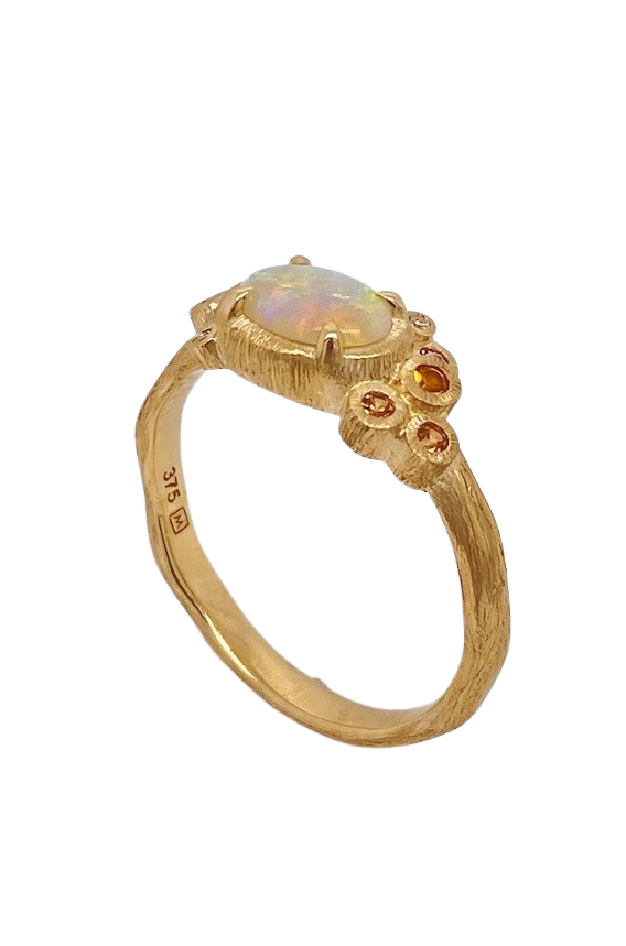 9ct Yellow Gold Opal and Multi Gemstone Ring. MMS10174C