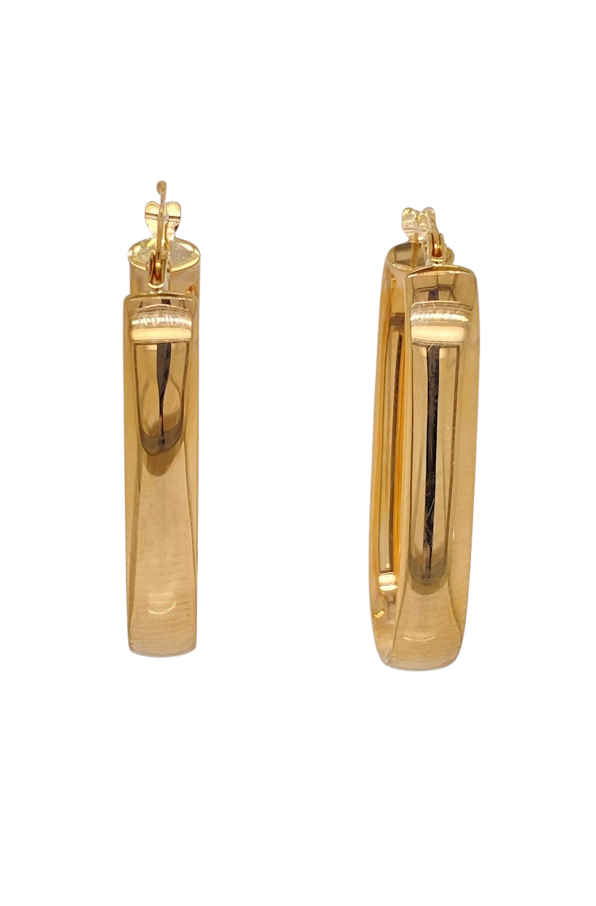 9ct Yellow Gold Hoop Earrings. SCAN2