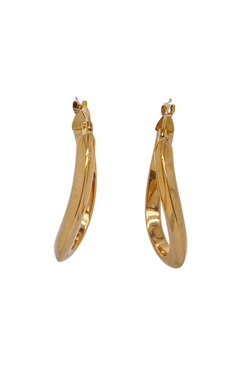 9ct Yellow Gold Hoop Earrings. SCAN1