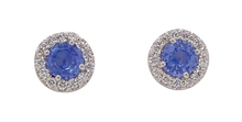 Load image into Gallery viewer, 9Ct White Gold Diamond and Ceylon Sapphire Stud Earrings. E475C3
