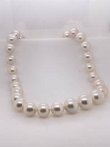 Sterling Silver Freshwater Pearl Strand. PF4