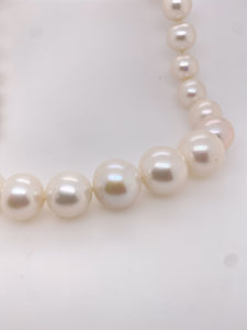 Sterling Silver Freshwater Pearl Strand. PF4