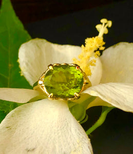 9ct Gold Gemstone Romance Ring J41