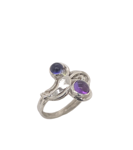 Sterling Silver and Gemstone Hakea Ring J12