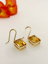 Load image into Gallery viewer, 9ct Gold Gemstone Geisen Earrings J501
