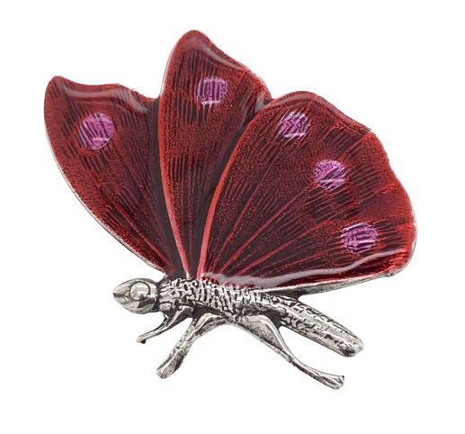 Au bout des Rêves Papillon Brooch. 08763N-02/06